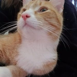 Meet your Posher, Joanne